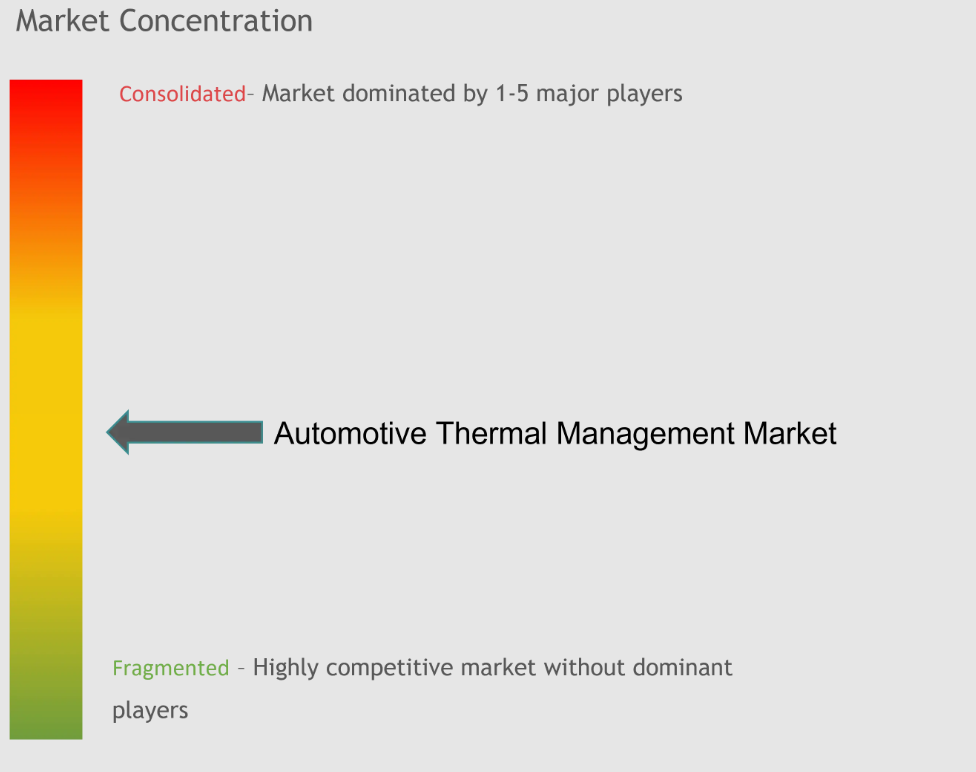 Automotive Thermal Management Market Concentration